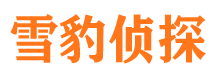 长沙找人公司